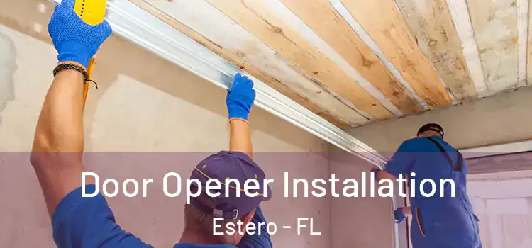  Door Opener Installation Estero - FL