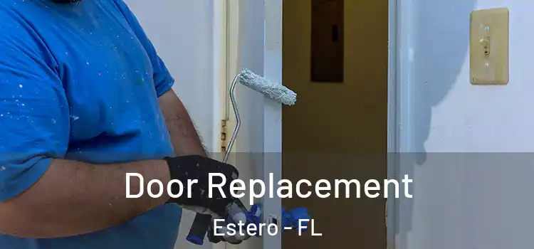  Door Replacement Estero - FL