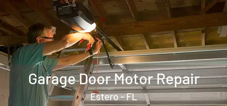  Garage Door Motor Repair Estero - FL