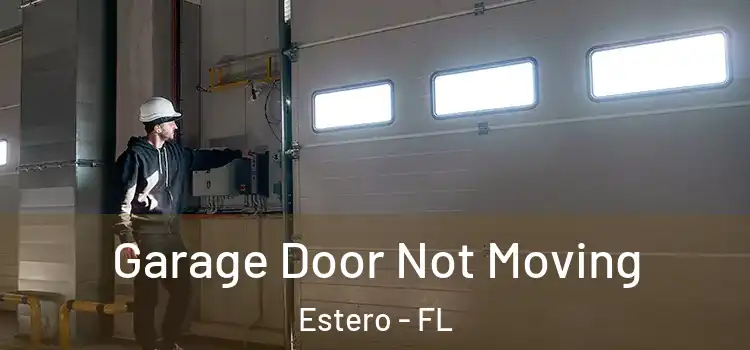  Garage Door Not Moving Estero - FL