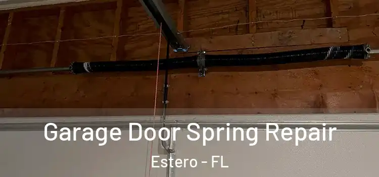  Garage Door Spring Repair Estero - FL