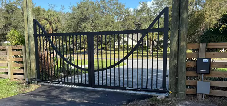 Gate Motor Repair Estero