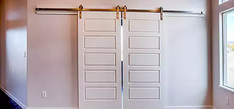 Glass Barn Door with Installation Hardware Kit Estero