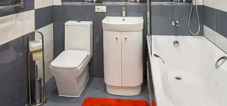 Hansgrohe Shaving Mirror Estero