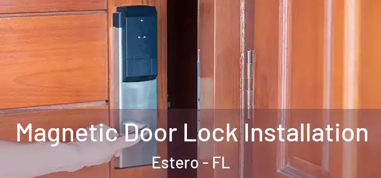 Magnetic Door Lock Installation Estero - FL