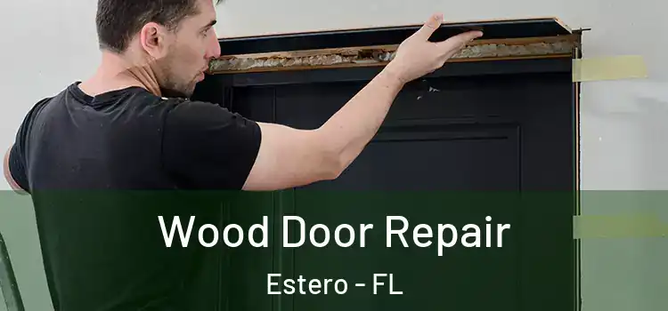 Wood Door Repair Estero - FL